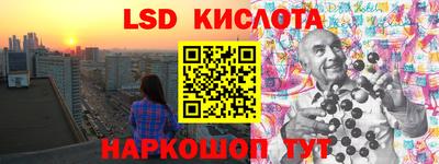 индика Кулебаки