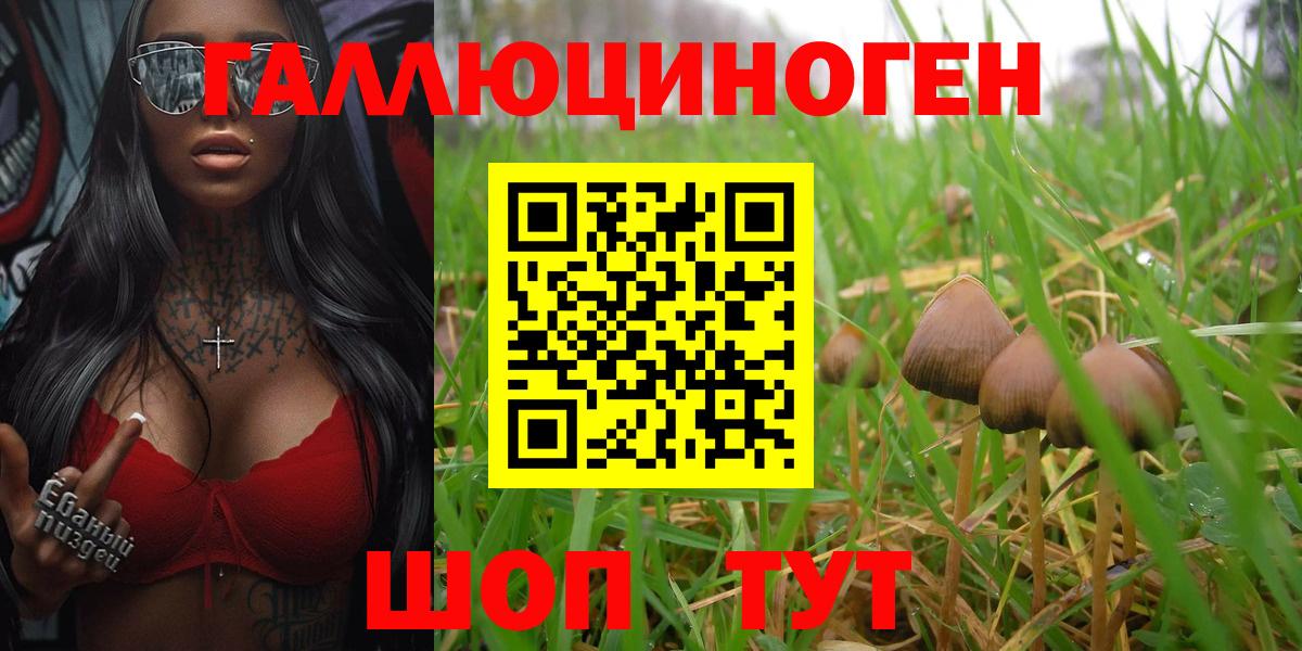 Псилоцибиновые грибы мухоморы Кемерово